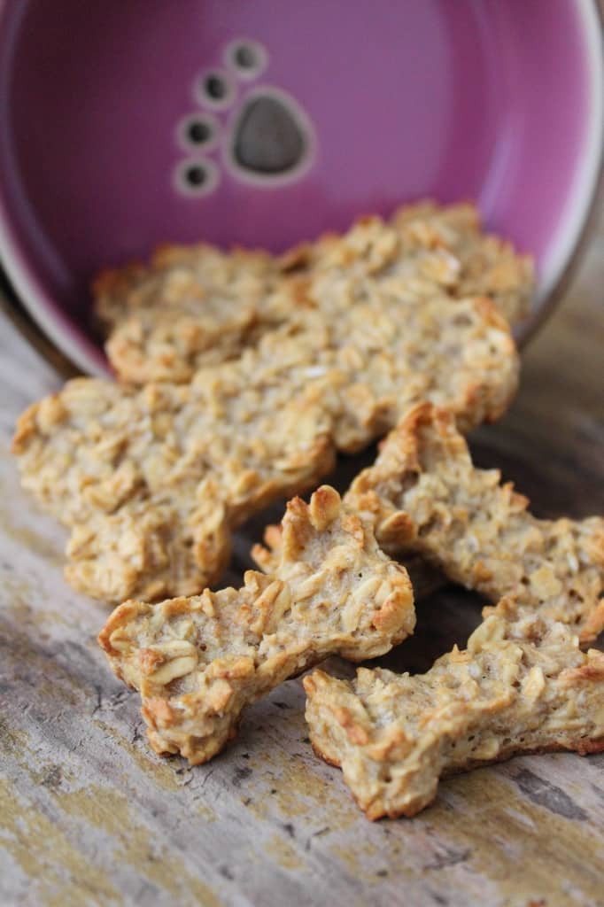 peanut butter banana treats peanut butter banana treats recipe vills peanut butter banana treats peanut butter banana treats recipe vills