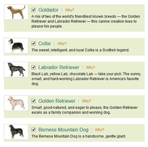 choosing a dog breed questionnaire