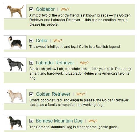 breed selector test