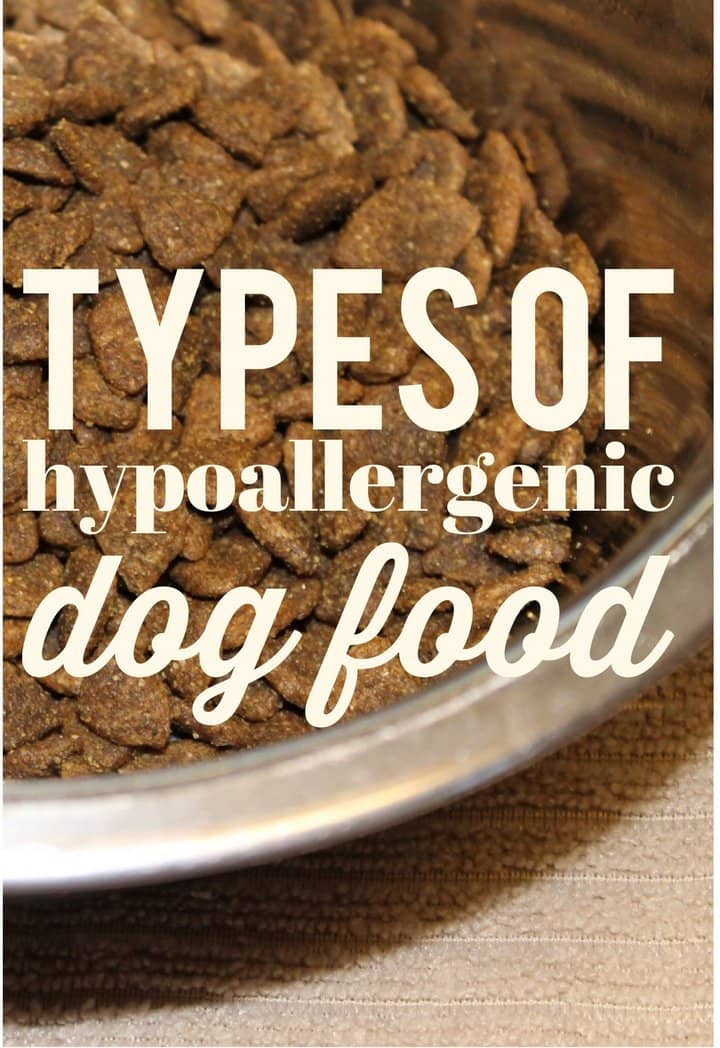 Basic Types of Hypoallergenic Dog Food