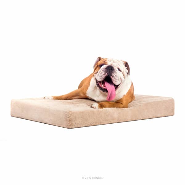 10 Best Hypoallergenic Dog Beds and Blankets guide)