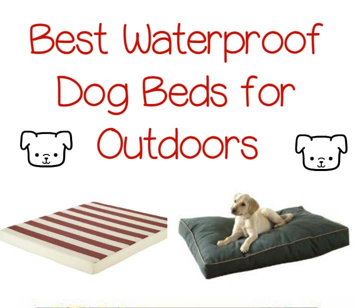 The Best Waterproof Dog Beds for Outdoors DogVills