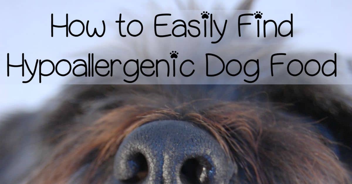 HowToEasilyFindHypoallergenicDogFoodDogvill HowToEasilyFindHypoallergenicDogFoodDogvill