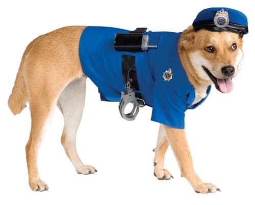 Xxxl Dog Halloween Costume
 Dog Halloween Costumes for Your Handsome Fella DogVills