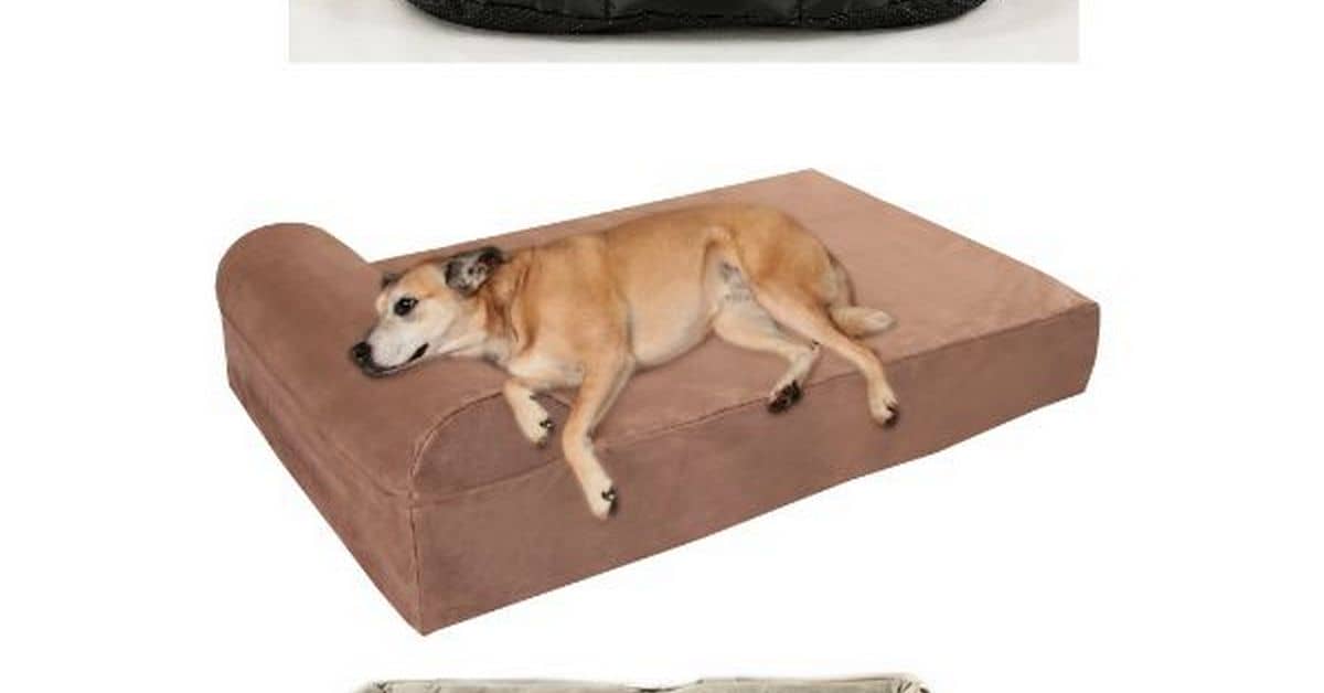 Extra Large Dog Beds With Sides Extra Large Dog Beds With Sides