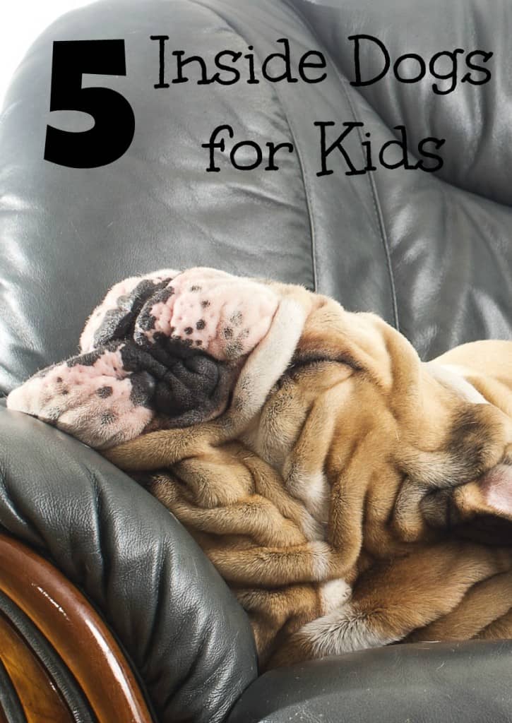 5 Best Inside dogs for kids