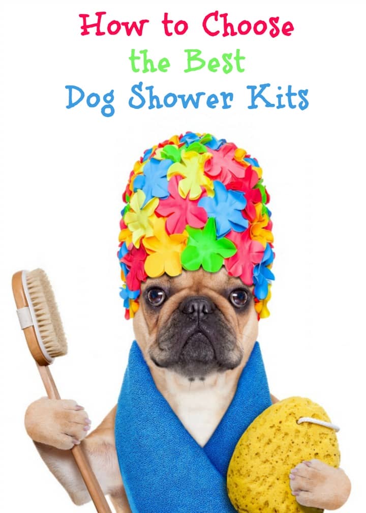 How to Choose the Best Dog Shower Kits