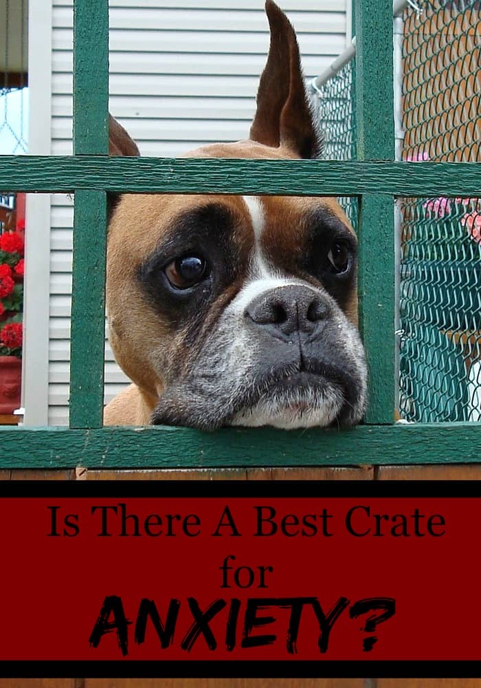 anxiety crate is there a best crate for anxiety dogvills anxiety crate is there a best crate for anxiety dogvills