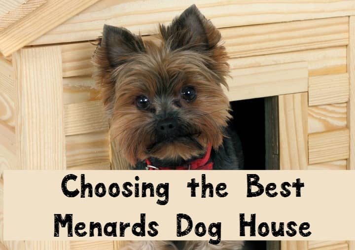 tips-for-choosing-the-best-menards-dog-house