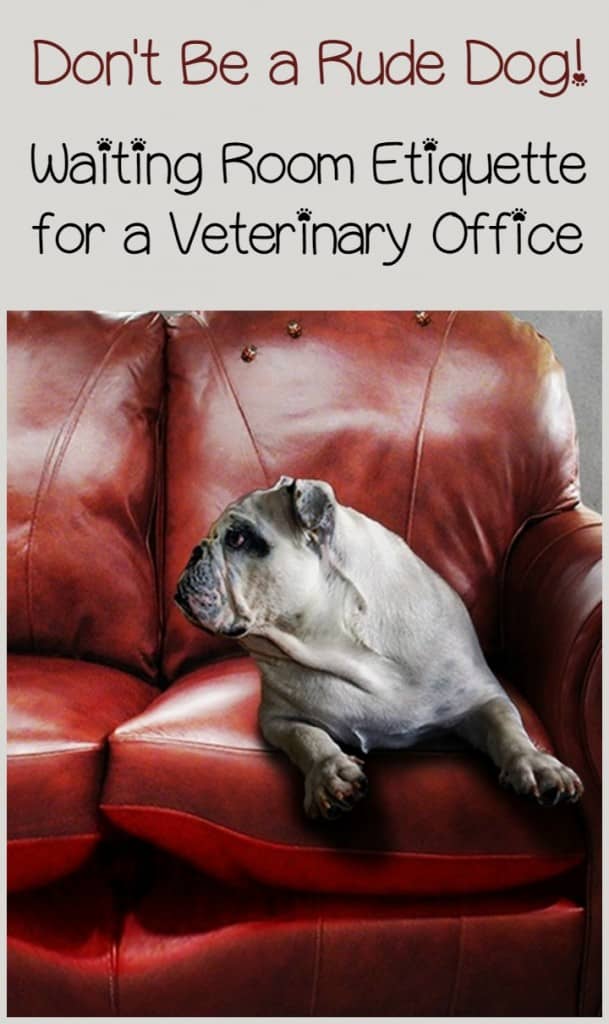 Waiting Room Etiquette for a Veterinary Office DogVills