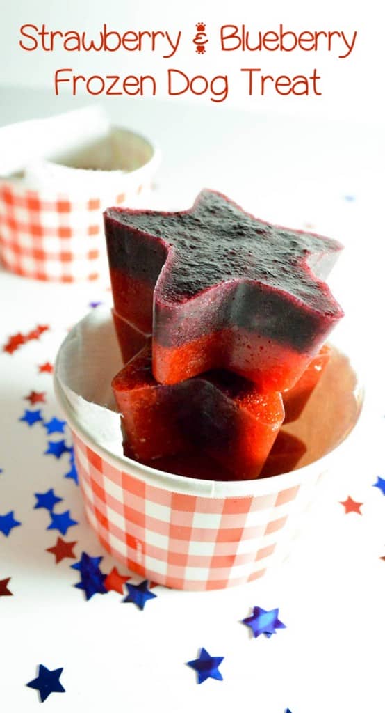 Strawberry and Blueberry Frozen Dog Treat