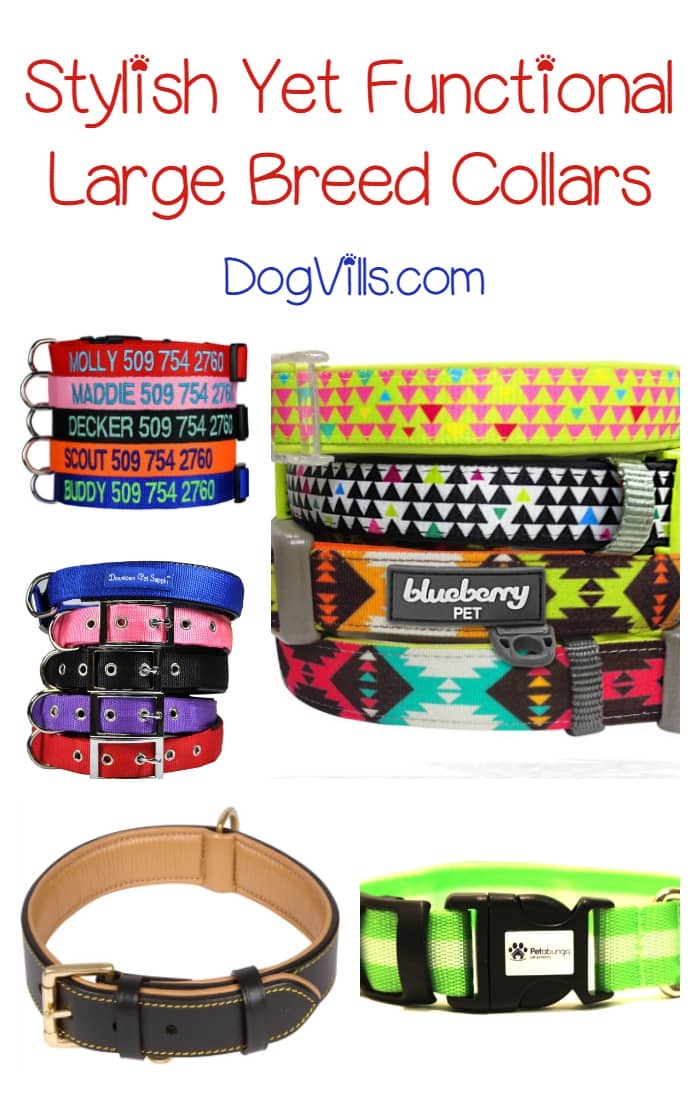 large breed collars best large breed collars for your large breed collars best large breed collars for your