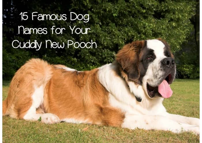 famous dog names