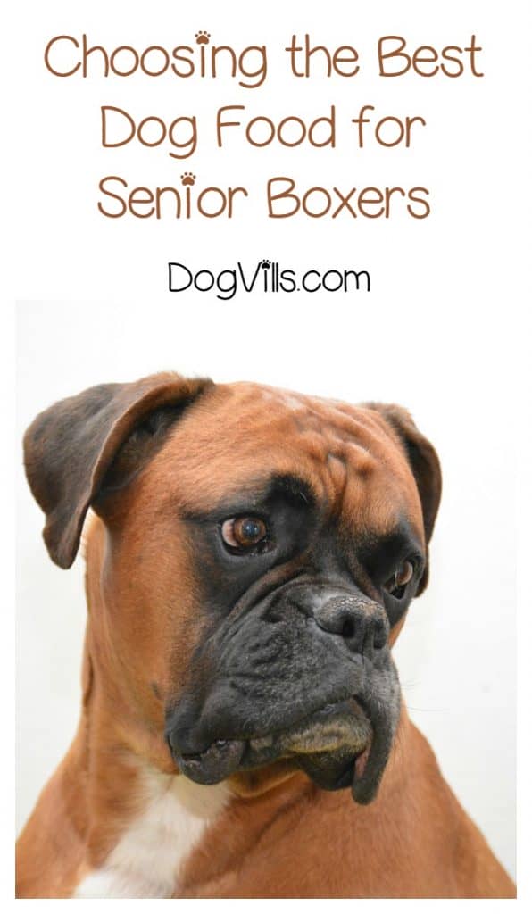 Best Dog Food For Senior Boxers Best Dog Food For Senior Boxers