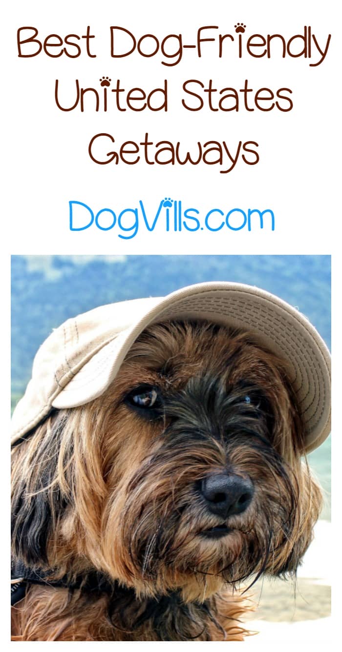 Where Are the Best DogFriendly United States Getaways?