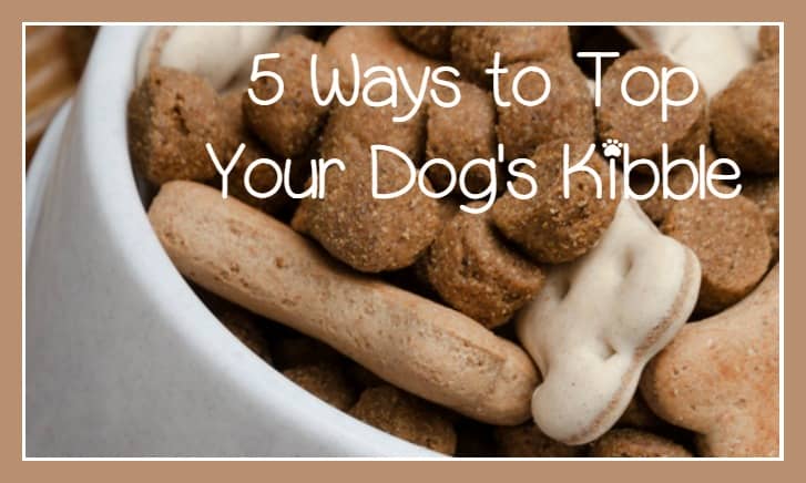best puppy kibble what are the best kibble toppers best puppy kibble what are the best kibble toppers