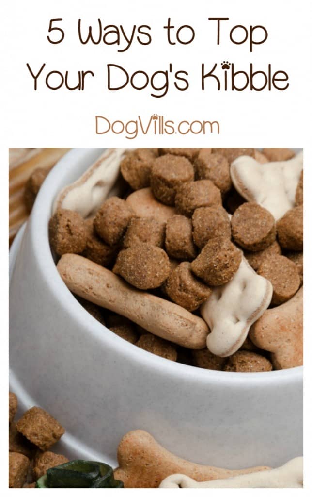 best puppy kibble what are the best kibble toppers best puppy kibble what are the best kibble toppers
