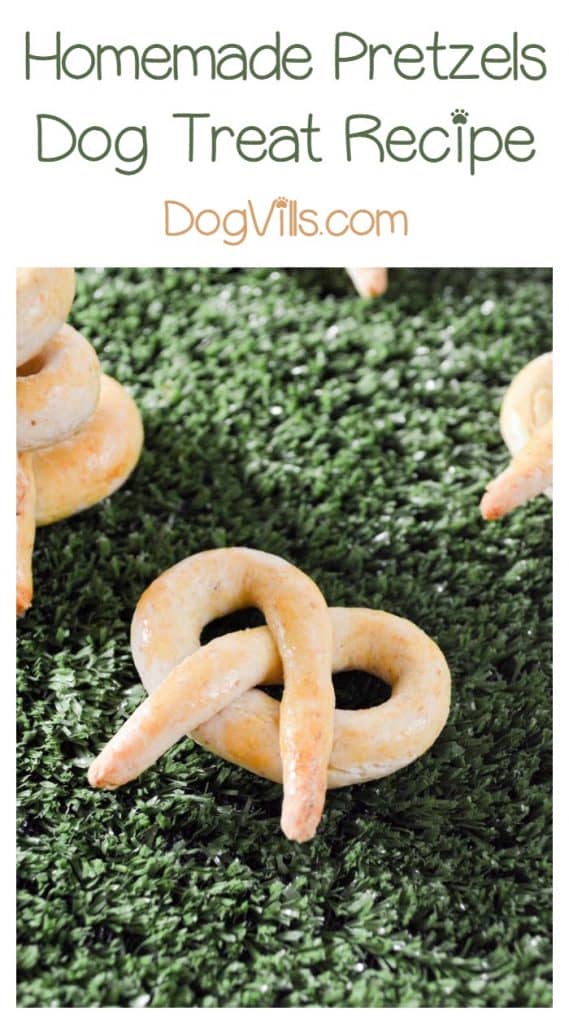 Can I Give Pretzels To My Dog Can I Give Pretzels To My Dog