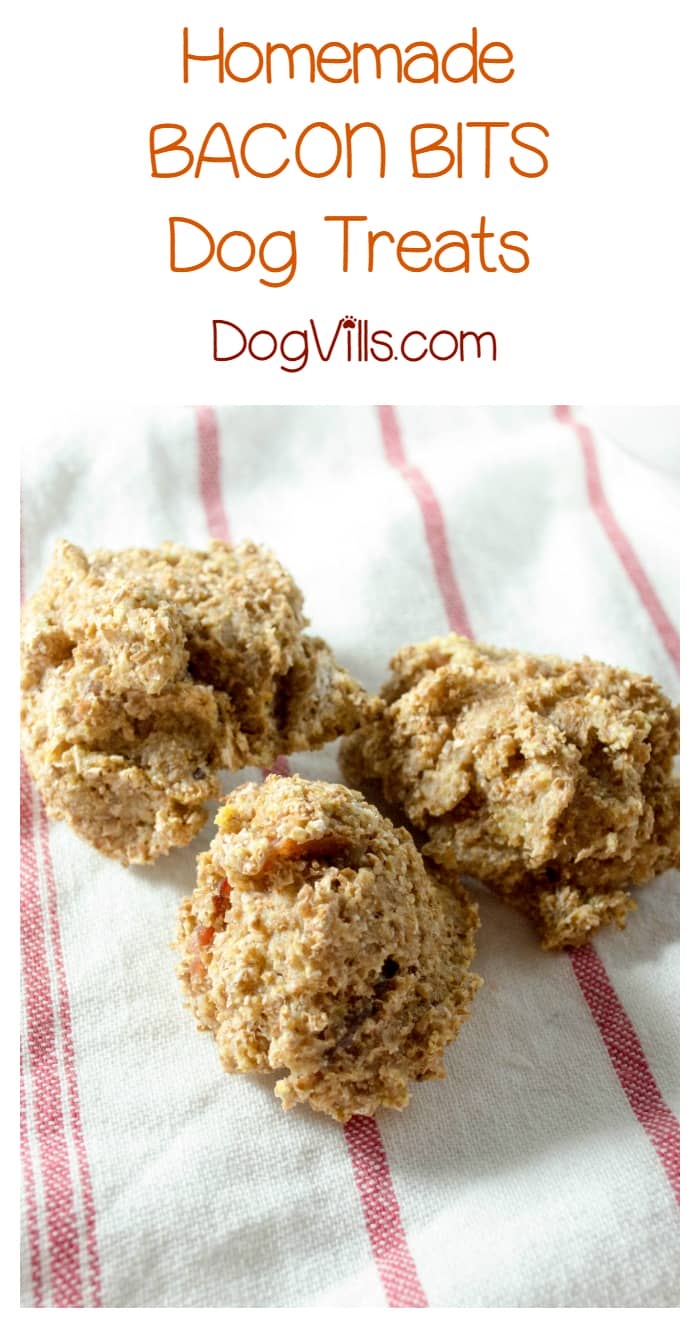 Can dogs eat bacon bits