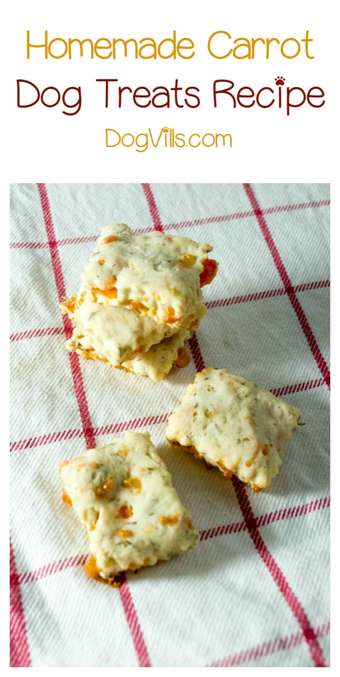 Easy Homemade Carrot Dog Treats Recipe DogVills