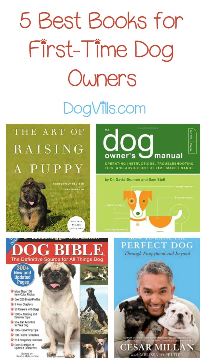 best dogs for time owners 5 best books for time owners dogvills best dogs for time owners 5 best books for time owners dogvills