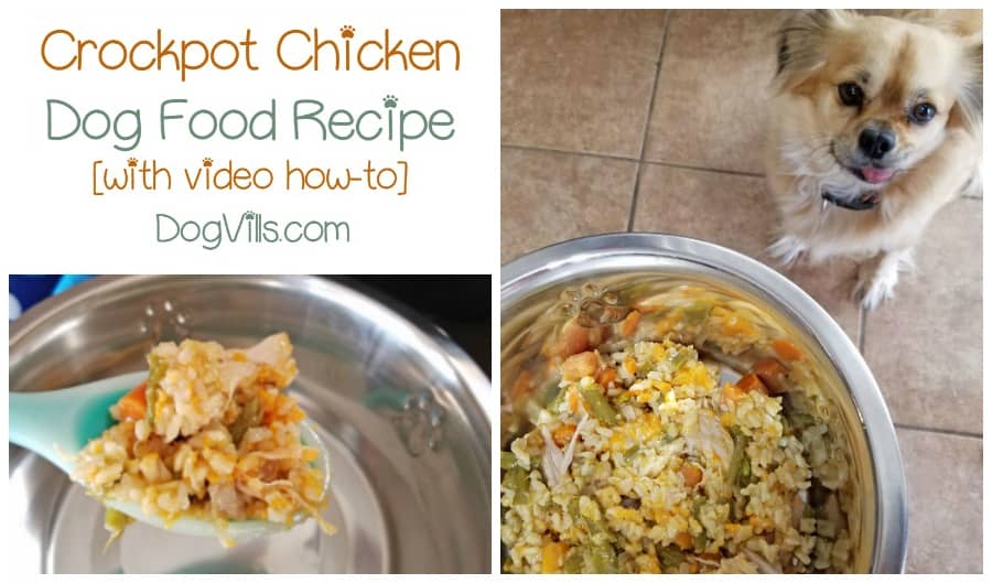 Easy Crockpot Chicken Homemade Dog Food Recipe With Video