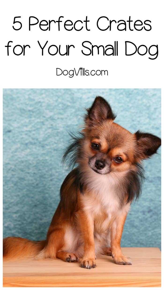 crate small breed puppies 5 of the best crates for small dogs that you ve been looking for dogvills crate small breed puppies 5 of the best crates for small dogs that you ve been looking for dogvills