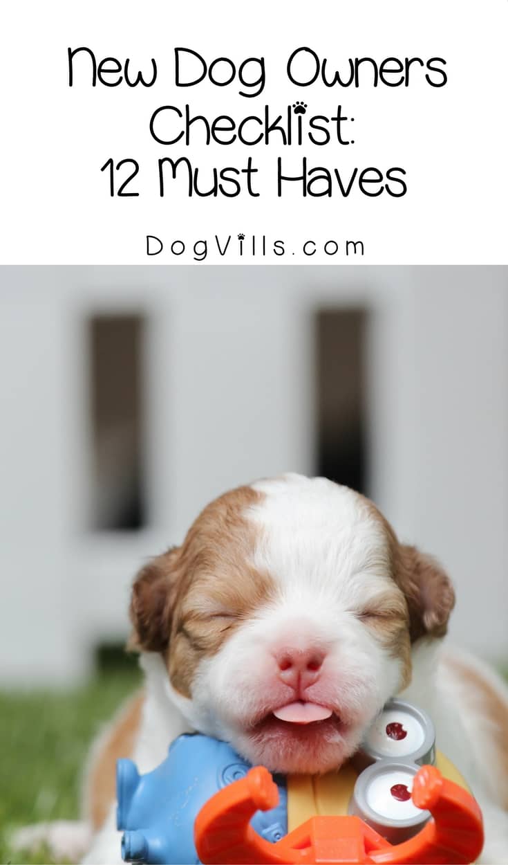 puppy must haves new owner checklist 12 must haves dogvills puppy must haves new owner checklist 12 must haves dogvills