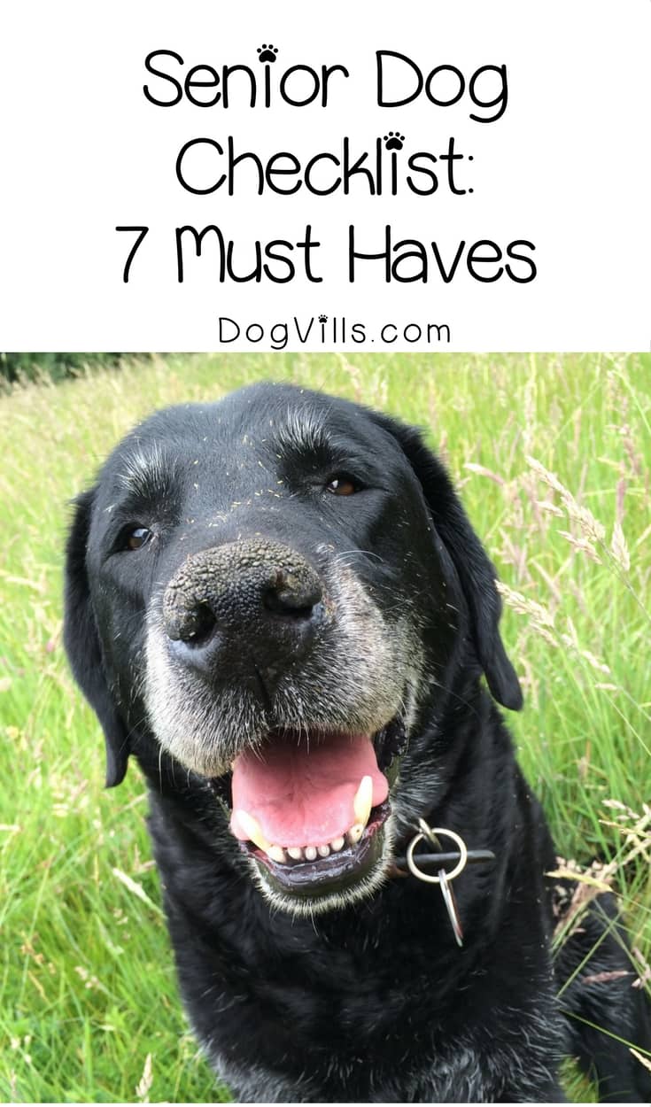 puppy must haves senior checklist 7 items to keep on dogvills puppy must haves senior checklist 7 items to keep on dogvills