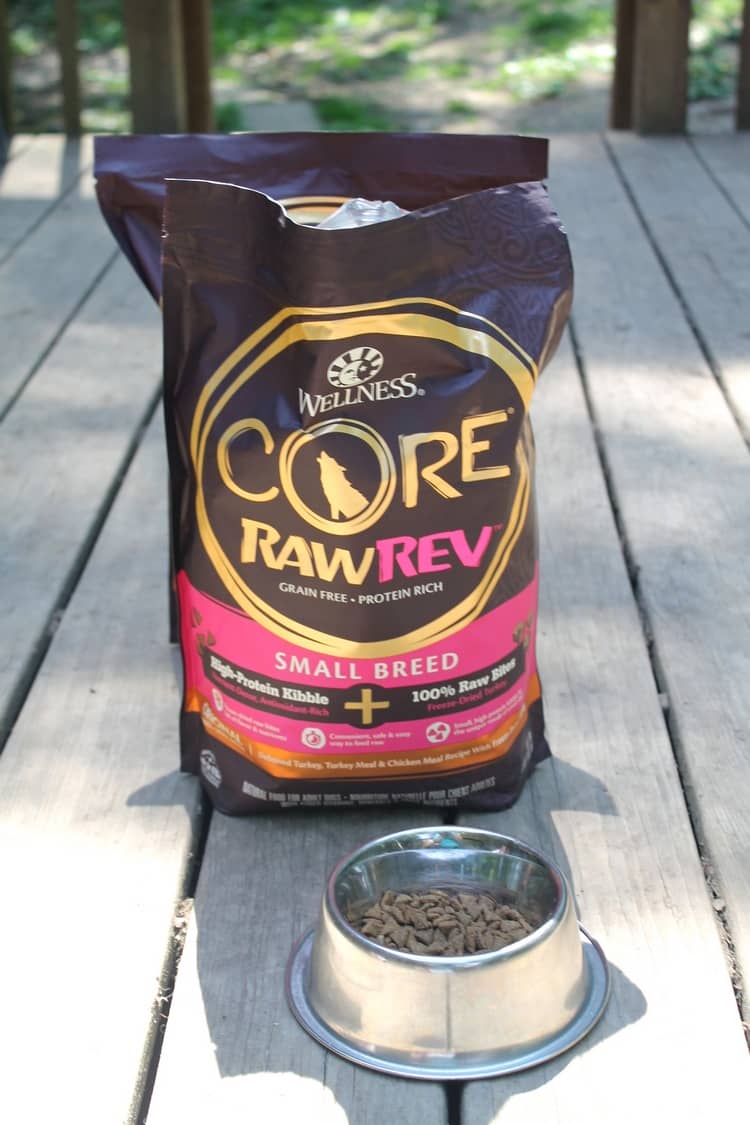 How to Unleash Your Dog's Raw Energy with Wellness® CORE™ RawRev