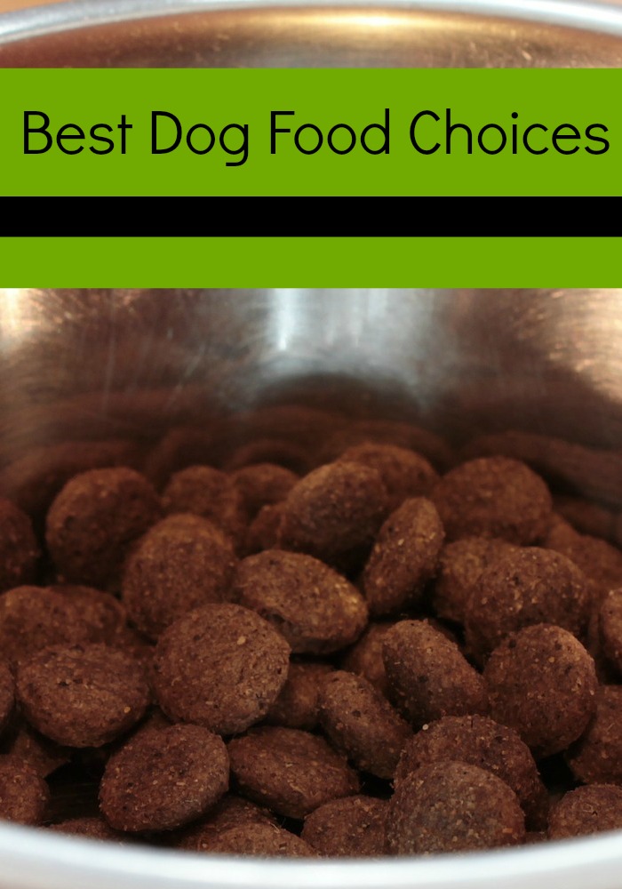 Best Dog Food Choices - DogVills