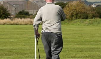 Cesar Dog Training Principals| DogVills