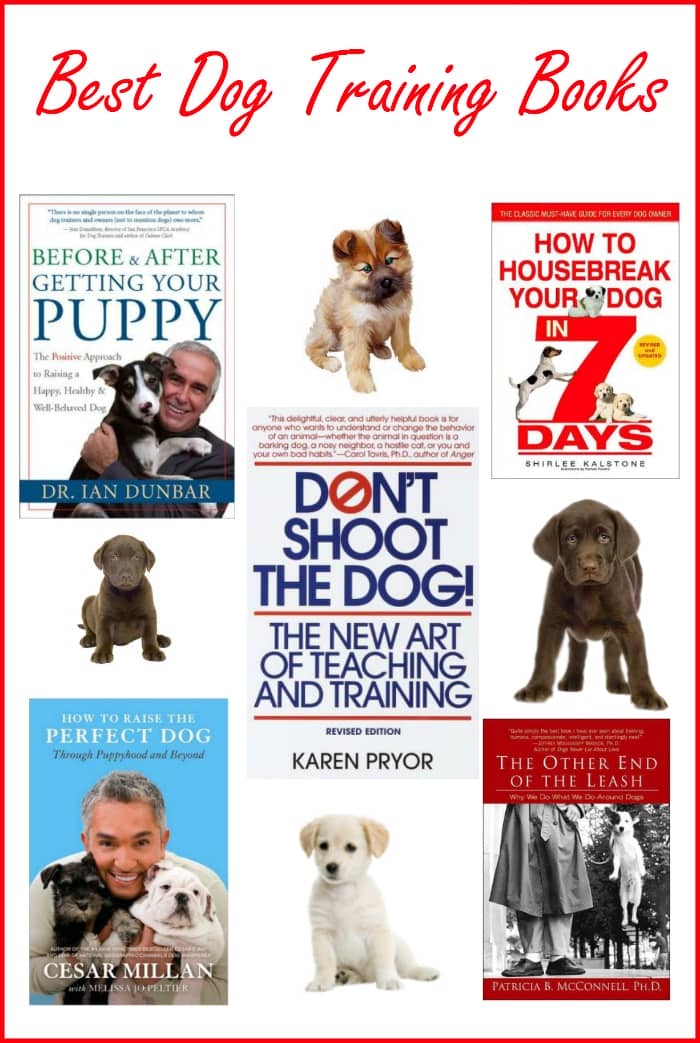 Best Dog Training Books to Get Started with Training