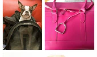 These tips for choosing the best dog carriers will help you pick out the right carrier to keep your dog comfortable and happy while traveling.