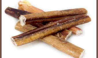 Bully Sticks: Why are they one of the best treats for your dog?