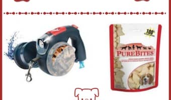 5 Dog Training Aids a New Owner Can’t Do Without