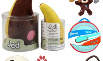 Holiday Gift Ideas for Dogs: Toys for large breeds | DogVills.com