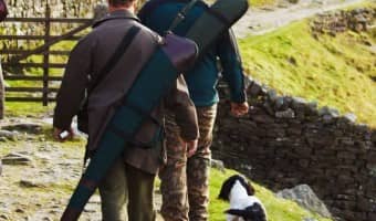 Five Hidden Dangers During Hunting Dog Training| DogVills.com
