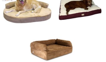 Best Dog Beds For Large Dogs