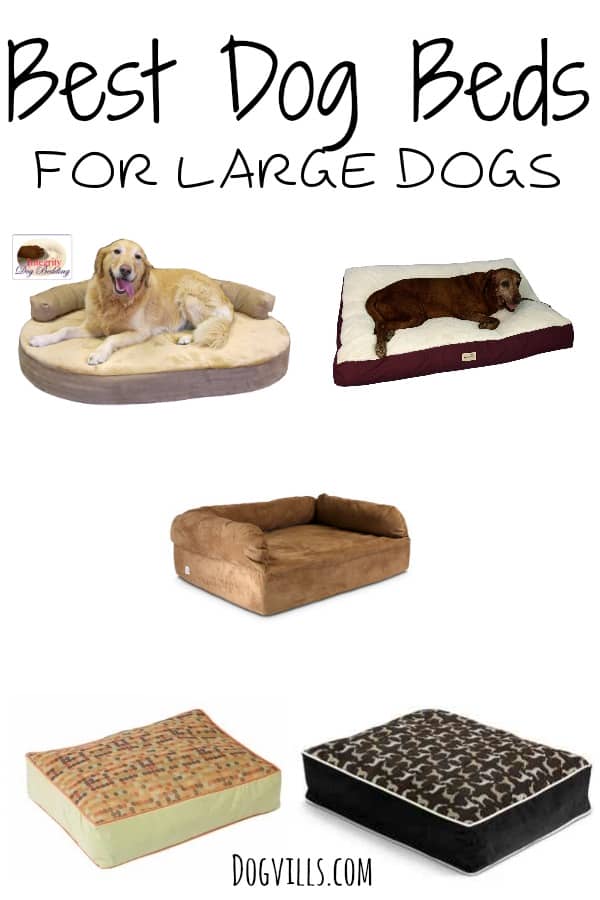 Best Dog Beds For Large Dogs