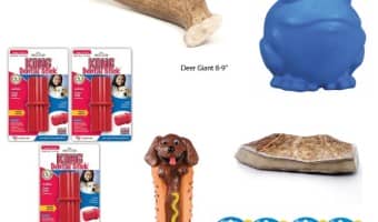Best Dog Chew Toys For Large Dogs