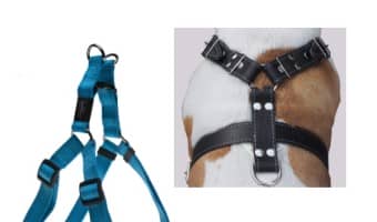 Tips for Choosing the Best Dog Harness For Large Dogs