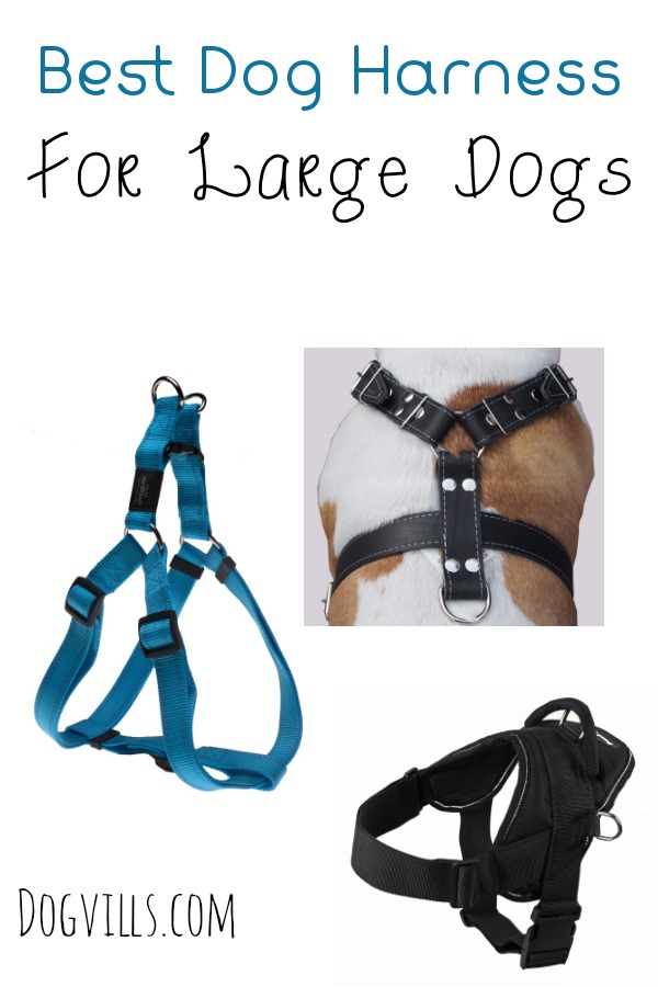 Tips for Choosing the Best Dog Harness For Large Dogs ...