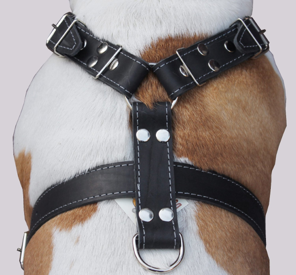 Black Leather Harness For Large Dogs: Best Dog Harness For Large Dogs