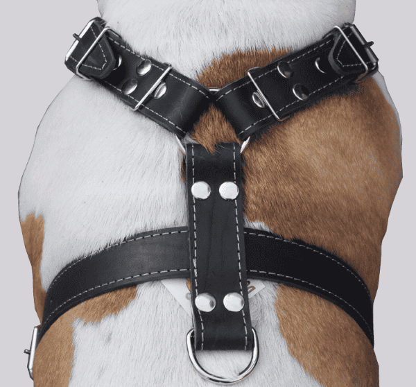 Black Leather Harness For Large Dogs: Best Dog Harness For Large Dogs