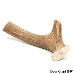 Giant Deer Antler Dog Chew