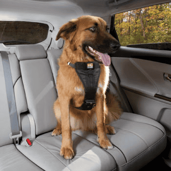 Kurgo Tru Fit Walking Harness: Best Dog Harness For Large Dogs