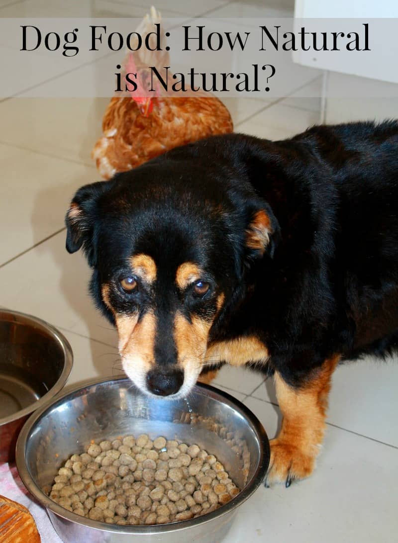 Best Natural Dog Food : Nature's Recipe Grain-Free Chicken & Duck Recipe in Broth ... - Eagle pack has instituted rigorous safety mechanisms based on the quality assurance processes used in human food production.