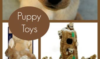 One of the best things about new babies is the adorable toys; and ones for fur babies are no exception! Here are the top five most adorable puppy toys for your new dog's toy box!
