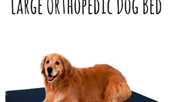 Here are some Tips For Choosing A Large Orthopedic Dog Bed that are sure to make their comfort level higher, and your peace of mind greater. N